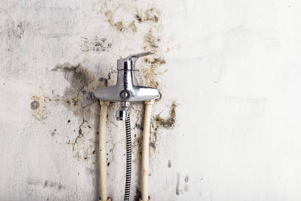 Best Mold Cleaning Services  in Talent, OR