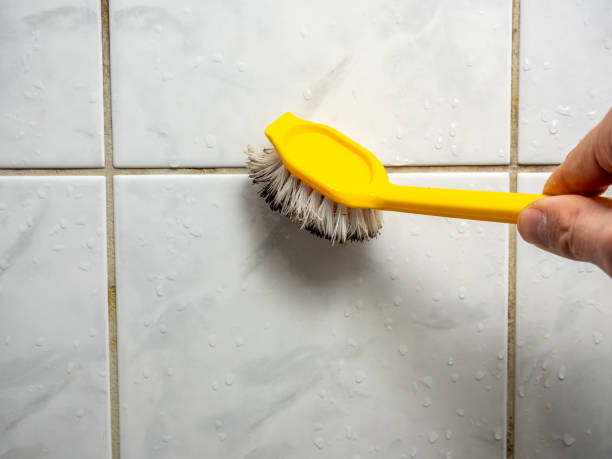 Best Certified Mold Removal  in Talent, OR