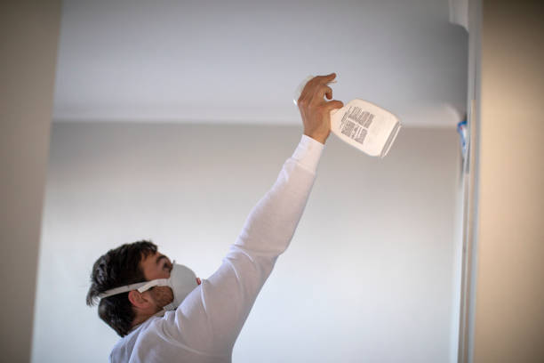 Best Residential Mold Removal  in Talent, OR