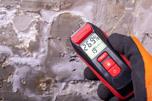 Best Best Mold Removal Companies  in Talent, OR