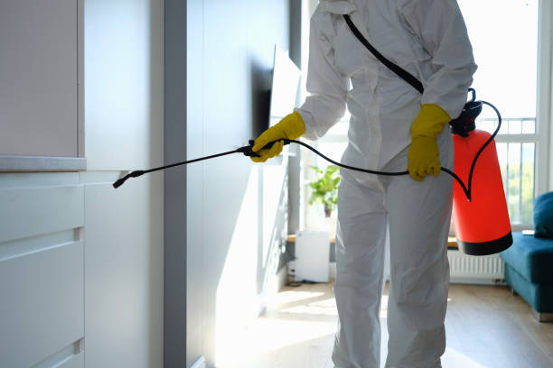 Mold Removal Process in Talent, OR