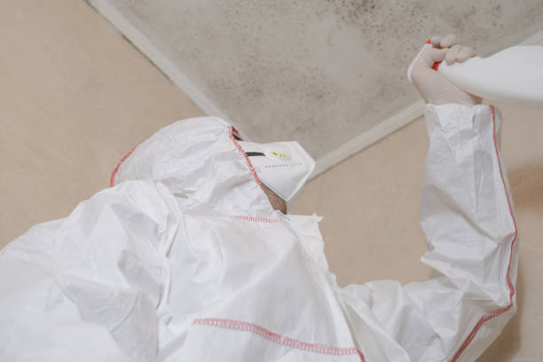 Best Fast Mold Removal  in Talent, OR